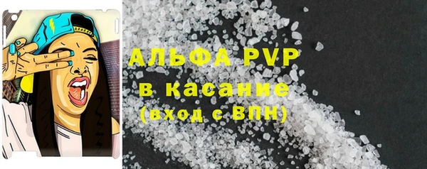 спайс Пересвет