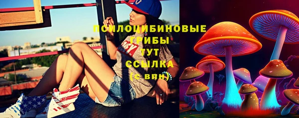 шишки Пестово