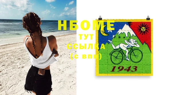 шишки Пестово